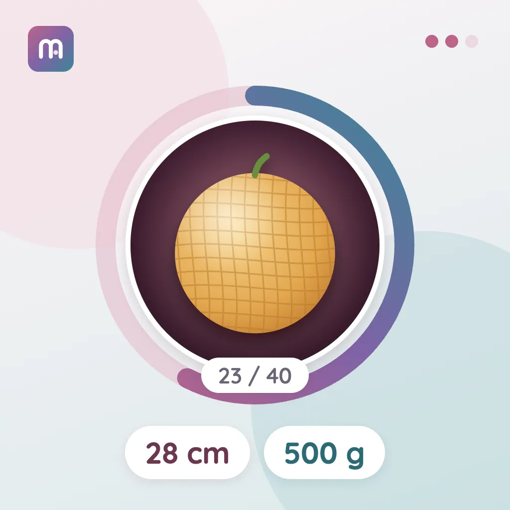 23. Week: Melon