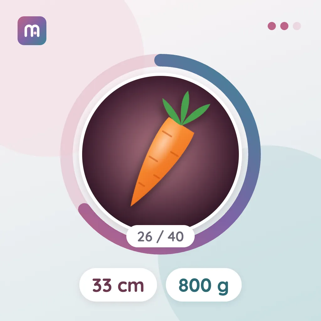26. Hafta: Havuç