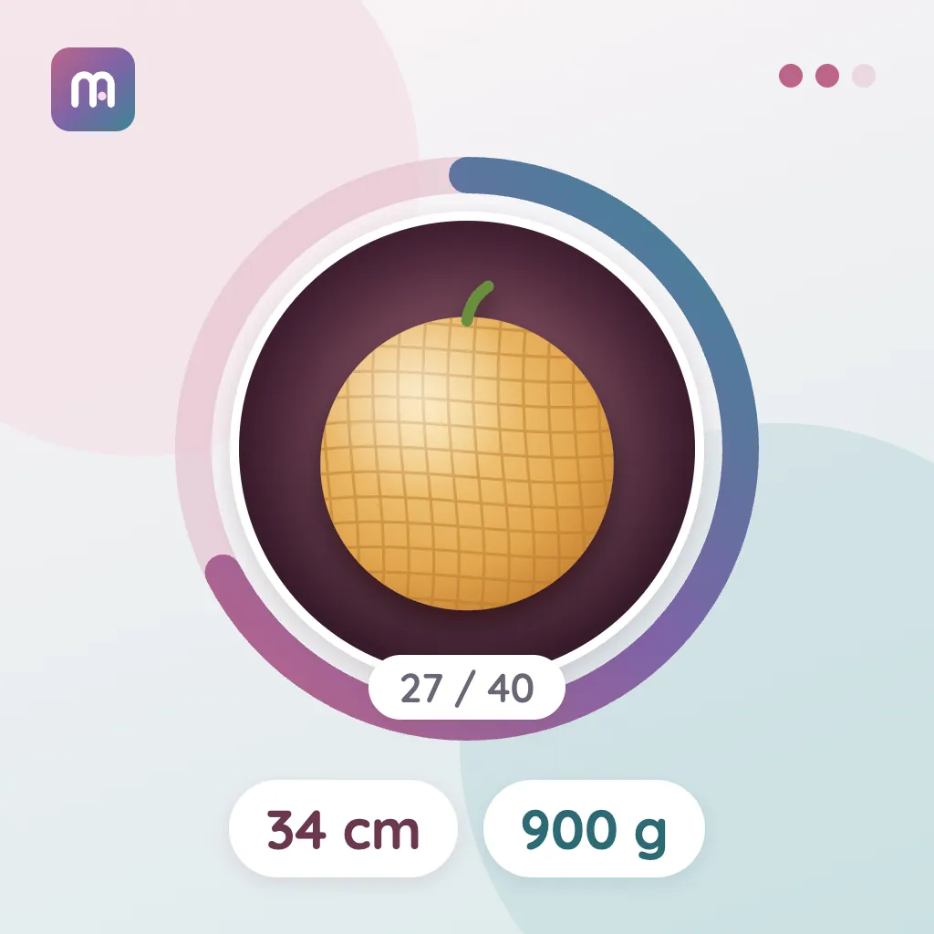 27. Hafta: Kavun