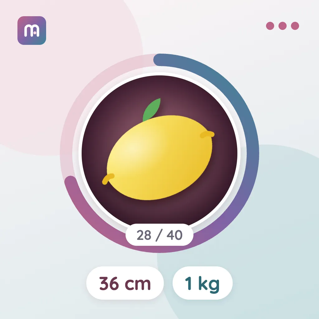 28. Hafta: Limon