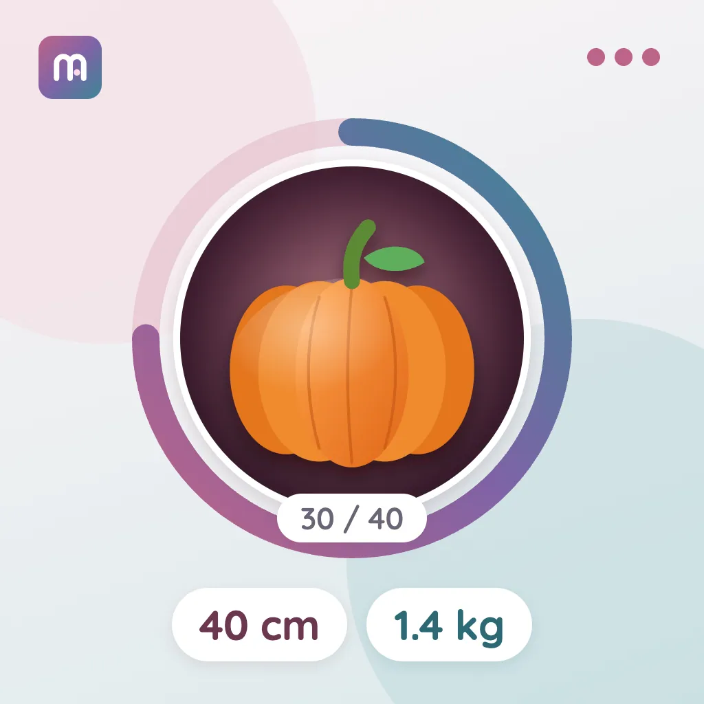 30. Hafta: Balkabağı