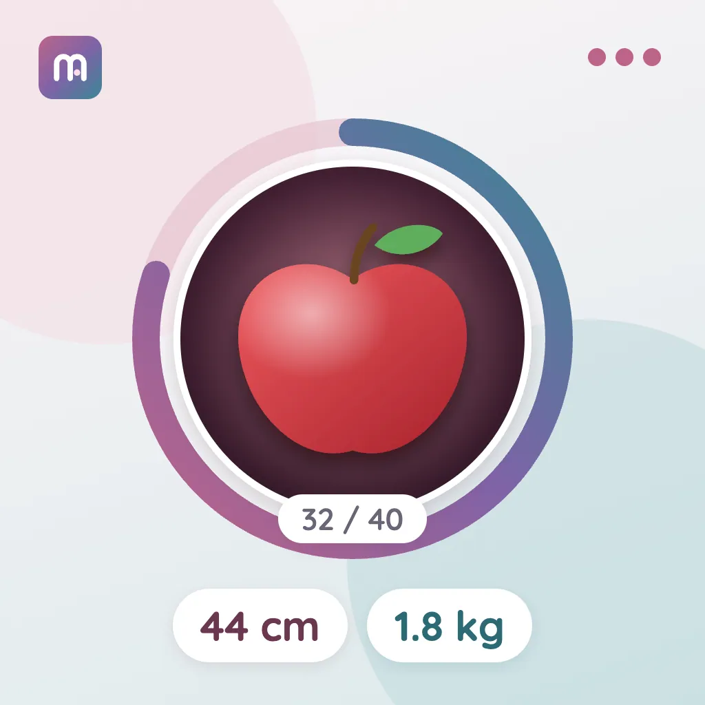 32. Semana: Manzana grande