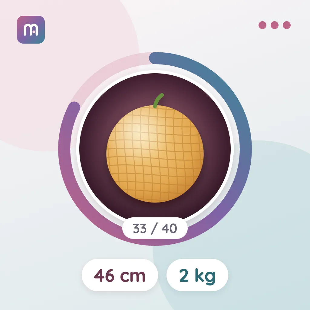 33. Hafta: Kavun