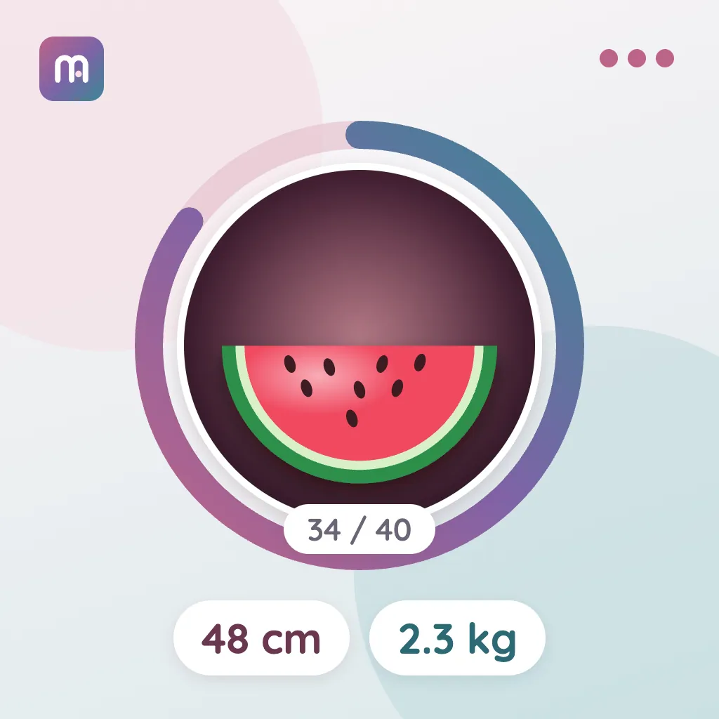 34. Week: Watermelon