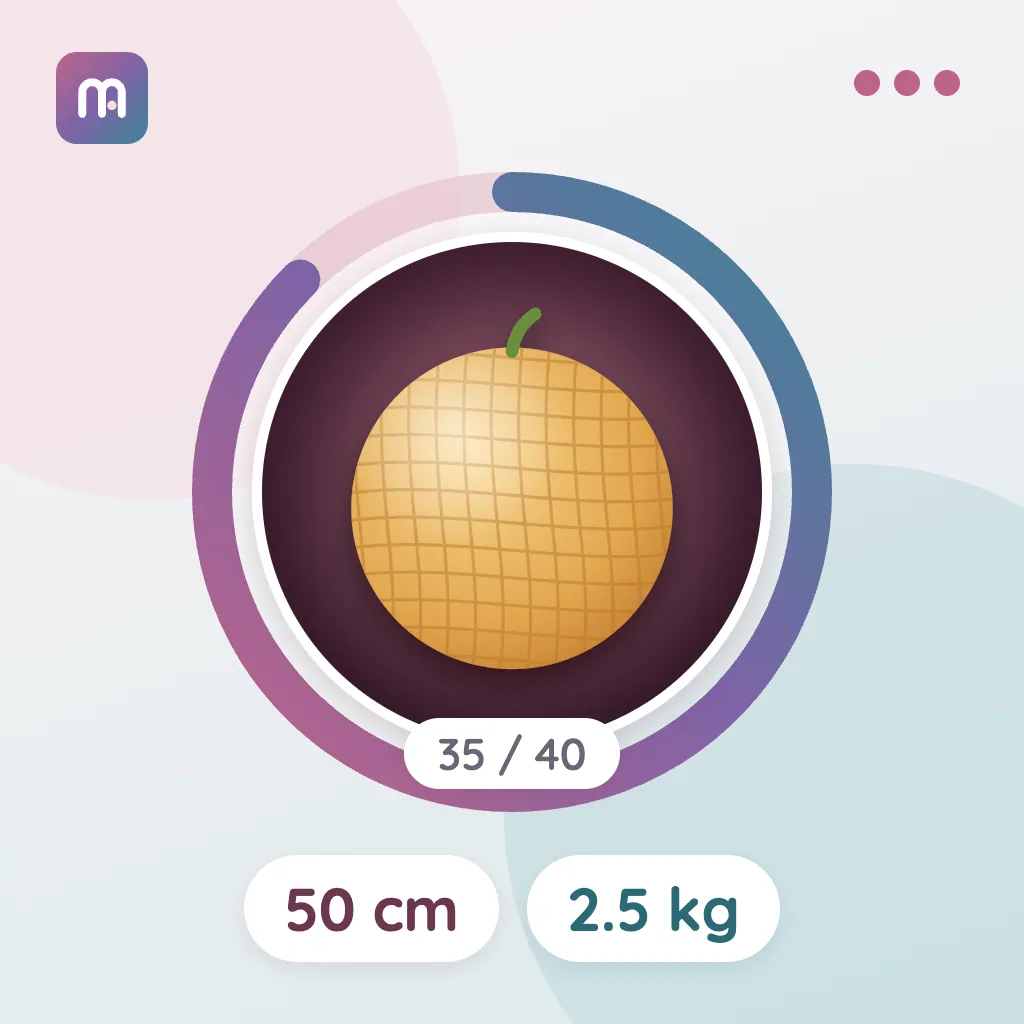 35. Hafta: Kavun