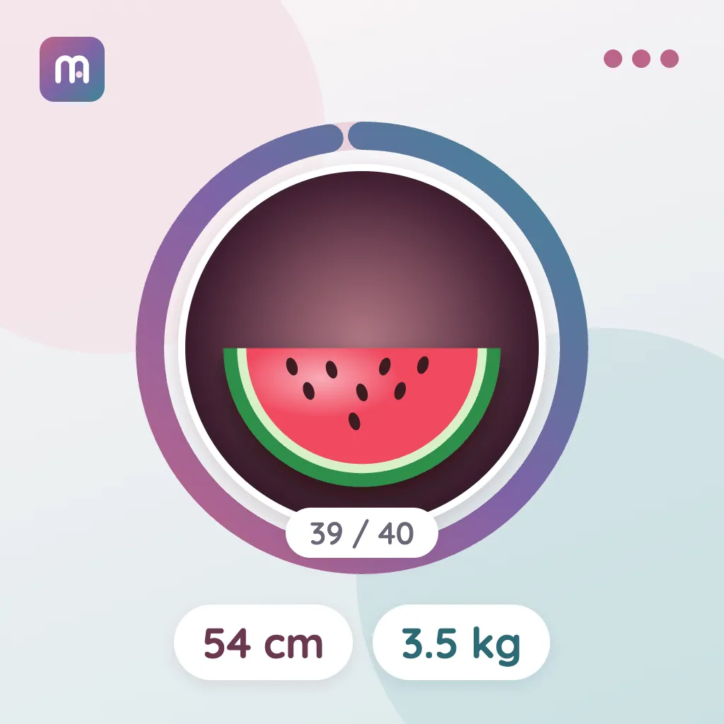 39. Hafta: Karpuz