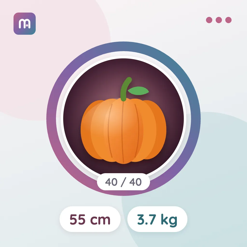 40. Woche: Kürbis